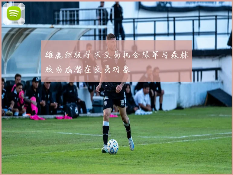 雄鹿积极寻求交易机会绿军与森林狼或成潜在交易对象